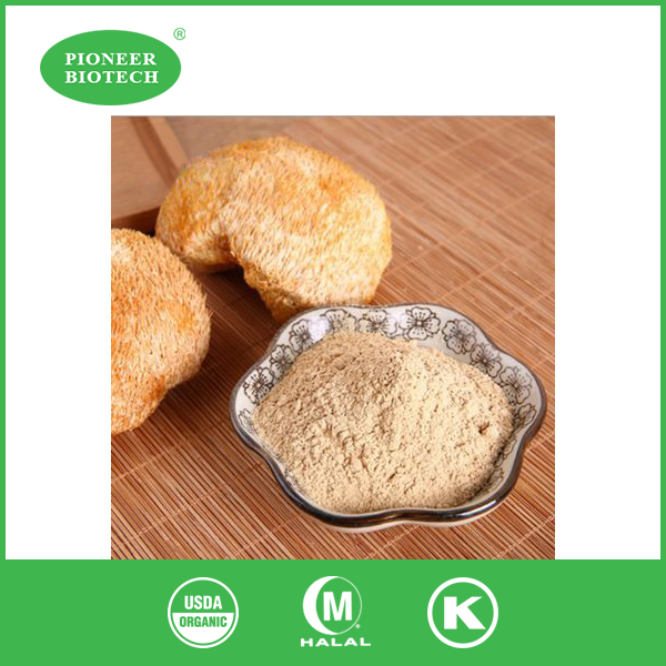 lion's mane extract powder